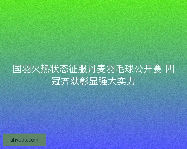 国羽火热状态征服丹麦羽毛球公开赛 四冠齐获彰显强大实力