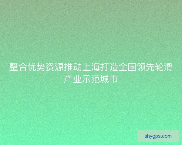 整合优势资源推动上海打造全国领先轮滑产业示范城市