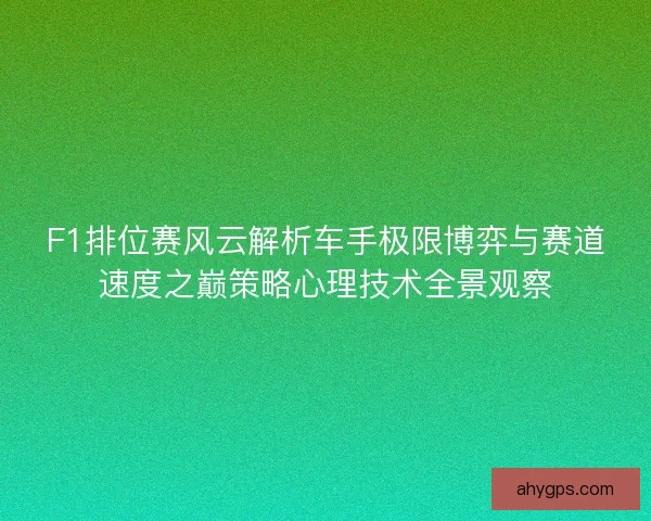 F1排位赛风云解析车手极限博弈与赛道速度之巅策略心理技术全景观察